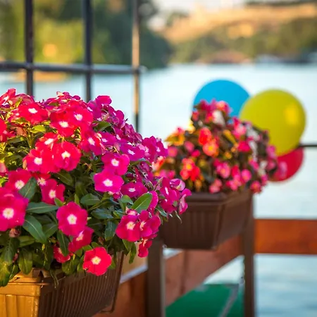 Auberge de jeunesse House *