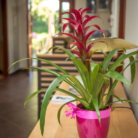 Хостел House *