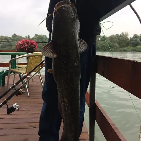 House ホステル ベオグラード